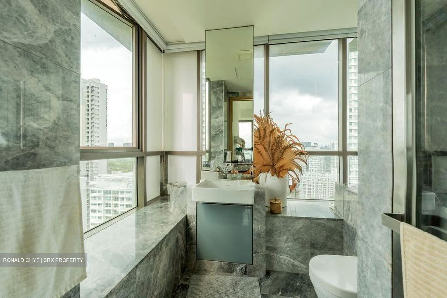 Skyline Residences (D4), Condominium #610647951